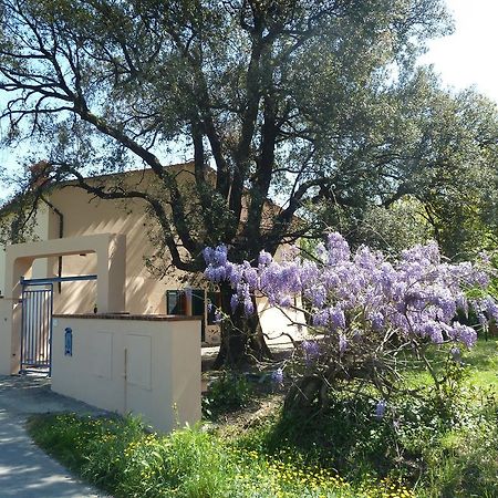 Al Vecchio Leccio Guest House Pistoia Eksteriør bilde