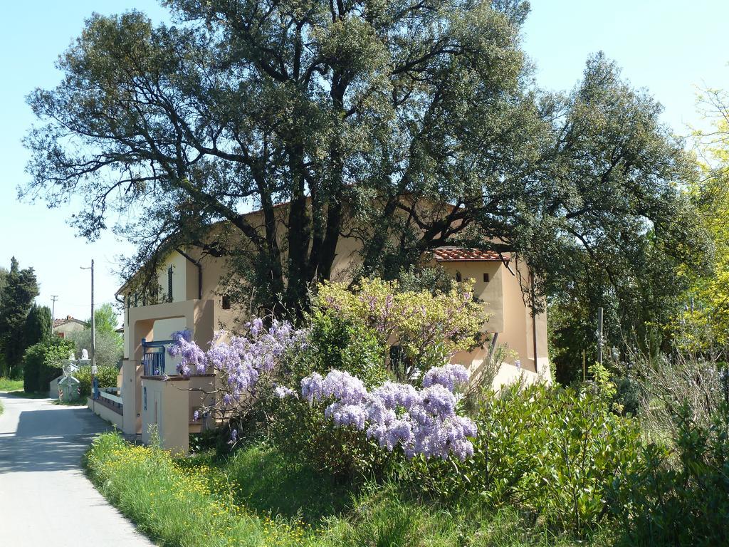 Al Vecchio Leccio Guest House Pistoia Eksteriør bilde