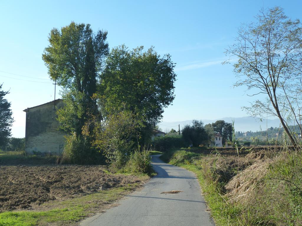 Al Vecchio Leccio Guest House Pistoia Eksteriør bilde