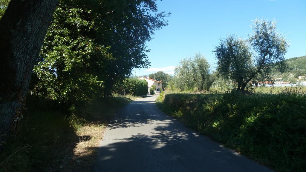 Al Vecchio Leccio Guest House Pistoia Eksteriør bilde