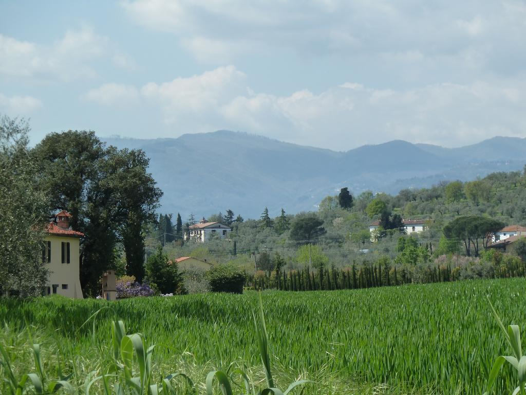 Al Vecchio Leccio Guest House Pistoia Eksteriør bilde