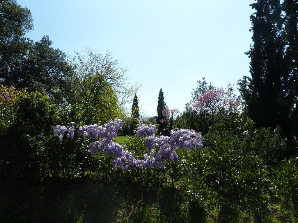 Al Vecchio Leccio Guest House Pistoia Eksteriør bilde